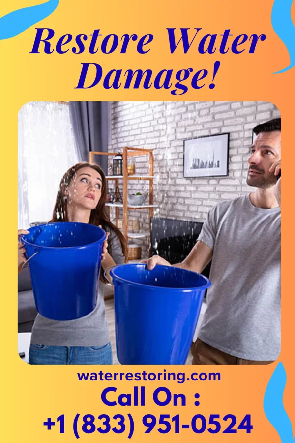 water restoration Guardian Water Repair & Sons Milltown