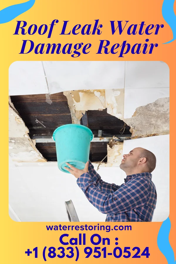 Roof Leak Water Damage Repair in Milltown, IN