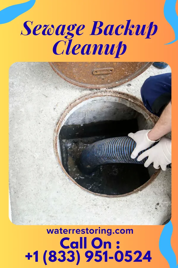 Sewage Backup Cleanup in Milltown, IN