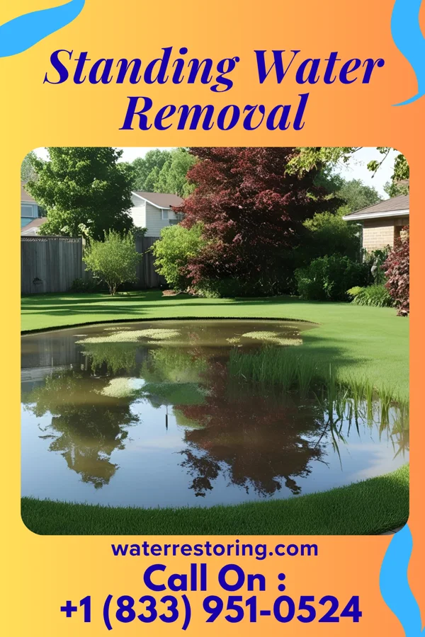 Standing Water Removal in Milltown, IN
